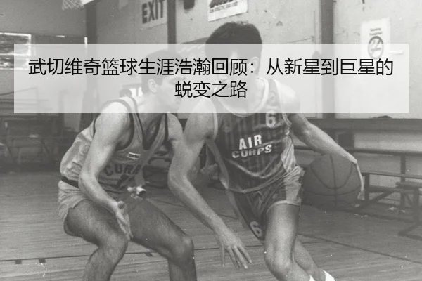 武切维奇篮球生涯浩瀚回顾：从新星到巨星的蜕变之路