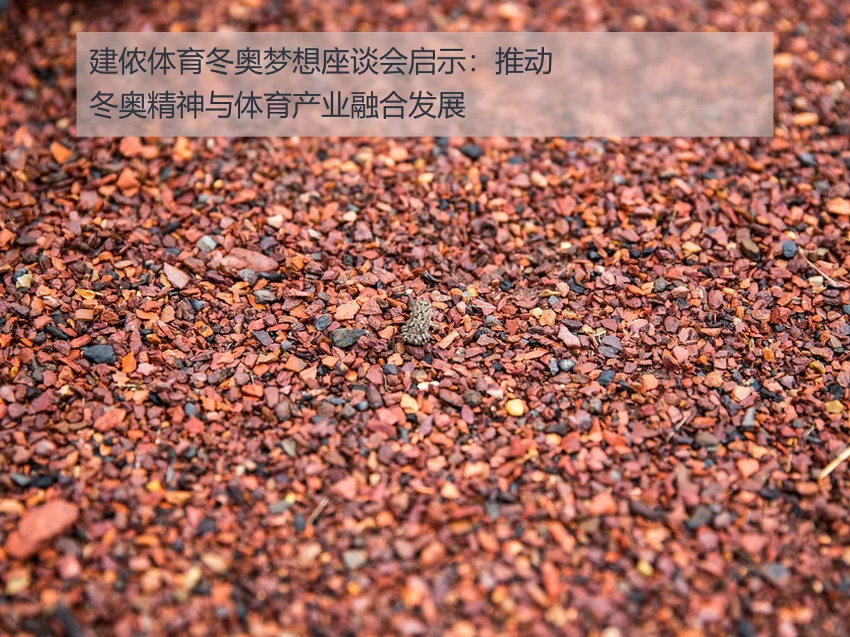 建侬体育冬奥梦想座谈会启示：推动冬奥精神与体育产业融合发展